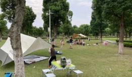 乌拉公园爆料视频播放,揭秘公园背后的惊人秘密