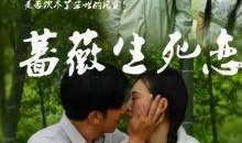 蔷薇生死恋在线观看,穿越时空的绝美爱情故事