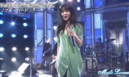 萤之光在线观看,点亮梦想，照亮人生