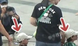 陈坤狗仔爆料视频播放,揭秘娱乐圈幕后真相