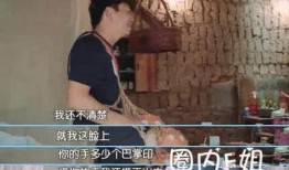 型男老婆爆料视频大全下载,揭秘明星私生活瞬间