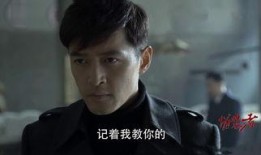 伪装者在线观看乐视