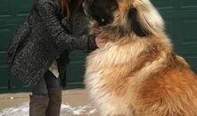 狗卷最新爆料,娱乐圈幕后真相大曝光！