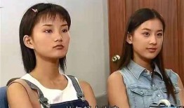 娱乐圈爆料黄圣依事件,真相与争议交织