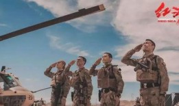 红海行动2最新爆料新闻,硬核续集再燃战火，揭秘神秘敌对势力！