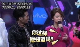 消愁男歌手爆料视频在线观看,独家爆料视频带你走进音乐背后的故事