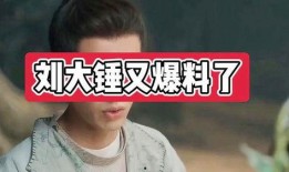 刘大锤明天爆料视频,揭秘娱乐圈惊人内幕！