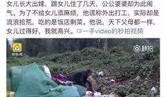 肇东最新爆料事件视频大全,视频大全揭秘惊人真相