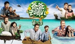 爸爸去哪儿第二季在线观看,在线观看重温感动瞬间
