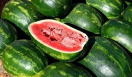 251免费吃瓜,揭秘娱乐圈幕后真相