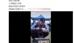 爆料老板的萌料是谁啊视频,揭秘“爆料老板的萌料是谁啊”视频背后的神秘主角