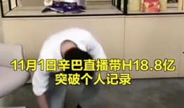 辛巴视频爆料,揭秘娱乐圈惊人内幕