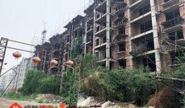 石家庄兴隆路最新爆料,揭秘神秘工程进展与周边影响