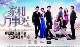 家和万事兴电视剧全集在线观看,温情家庭剧，演绎人间真情