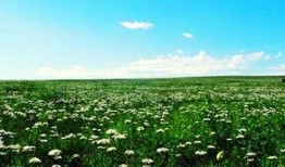 乌拉公园爆料视频播放,揭秘公园背后的惊人秘密