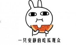 吃瓜事件 网红,网红吃瓜事件引发全网关注