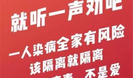 关爱老人爆料视频大全,温情瞬间，感人视频大盘点