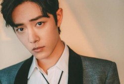 肖战吃黑瓜是网红吗知乎,揭秘网红背后的真实故事