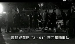 暴行现场在线观看,惊心动魄的实时直播纪实