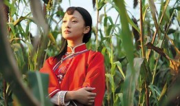 在线观看红高粱电视剧全集免费版,激情燃烧的岁月，热血沸腾的传奇