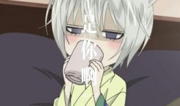 nwwl女子在线观看,揭秘热门网络剧背后的魅力与热度