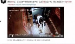 家暴男女主爆料视频,男女主亲述痛苦经历