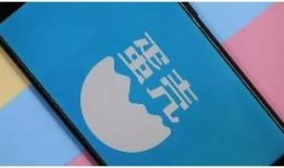 蛋壳最新爆料,揭秘行业黑幕，深度剖析蛋壳事件真相