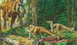 爆料恐龙时代视频下载安装,视频下载安装背后的科学之旅