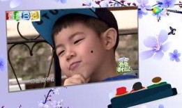 娱乐新闻大爆料张纪中,揭秘幕后故事与精彩瞬间