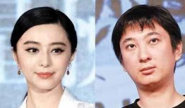 王芳爆料李晨视频大全最新,真相与争议并存