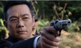 湄公河大案电视剧全集在线观看,揭秘真实跨国犯罪背后的惊心动魄