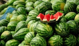 康县网红 吃瓜事件,网络舆论的风暴与反思