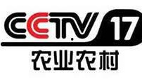 央视8套电视直播在线观看,精彩剧集实时在线观看