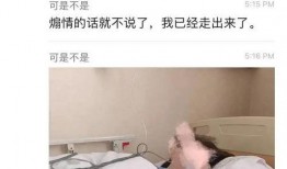 女博士 流产爆料新闻,揭开学术圈背后的隐痛与无奈