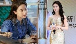 关于女星最新爆料的小说