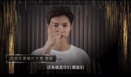 李九爆料渡劫视频大全集,渡劫视频大全集幕后真相大公开