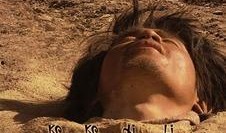 可可西里电影在线观看,探寻藏北高原的生态奇迹