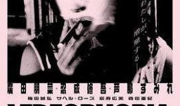 坡州完整版在线观看,揭秘神秘坡州，沉浸式体验在线观看之旅