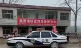 爆料灭门惨案视频大全集,视频大全集深度剖析