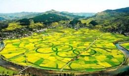 爆料禾丰美景视频大全,带你领略乡村风光无限