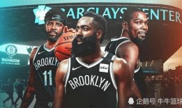 交易哈登爆料视频最新,交易传闻背后的真相与未来展望