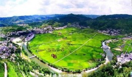 爆料禾丰美景视频大全,带你领略乡村风光无限